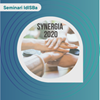 Seminari IdISBa. Dades preliminars Synergia 2020.