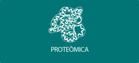 Proteómica
