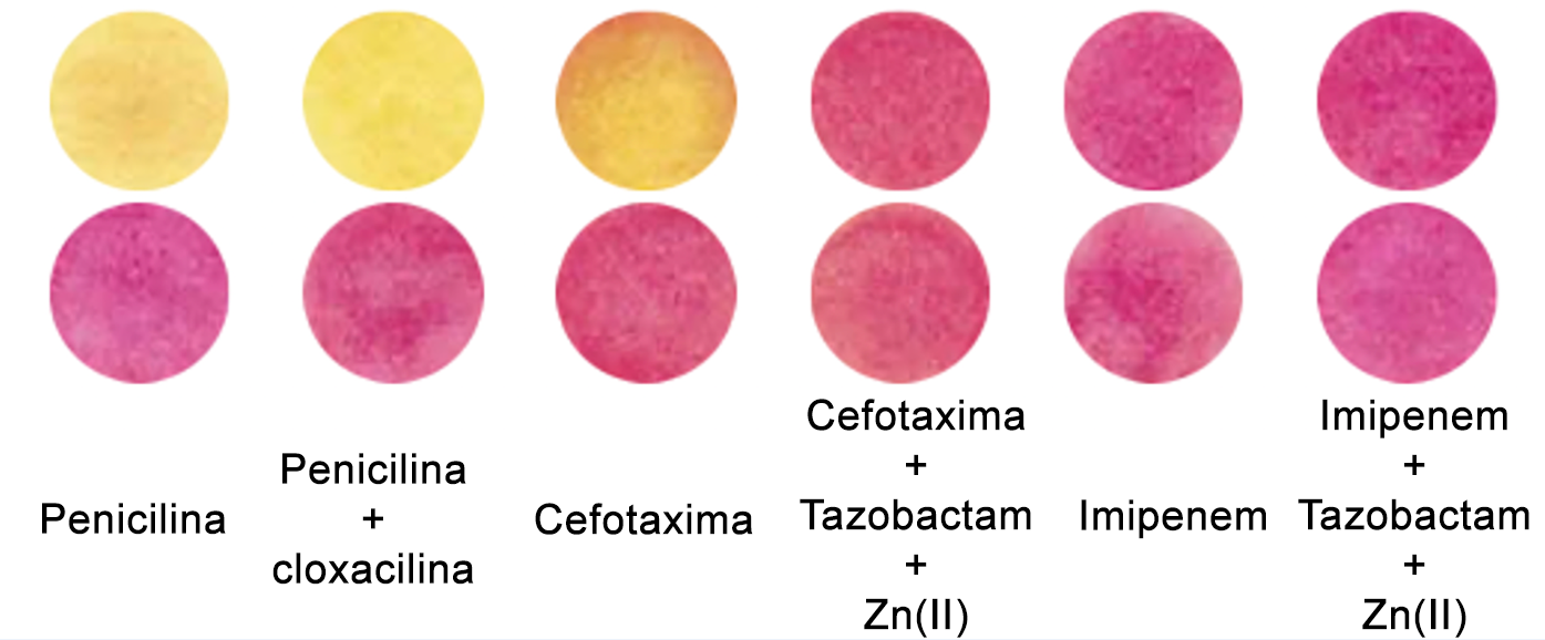  "Detección de bacterias productoras de beta-lactamasas de espectro extendido CTX-M-15 con el sensor desarrollado en el CIBERINFEC"