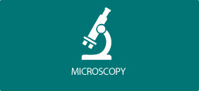 Microscopía