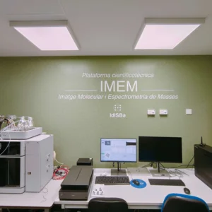 Ampliar imatge
